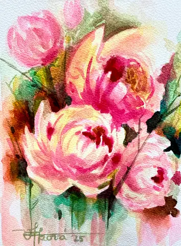 Pivónie — akvarel, 21x29cm, 2025